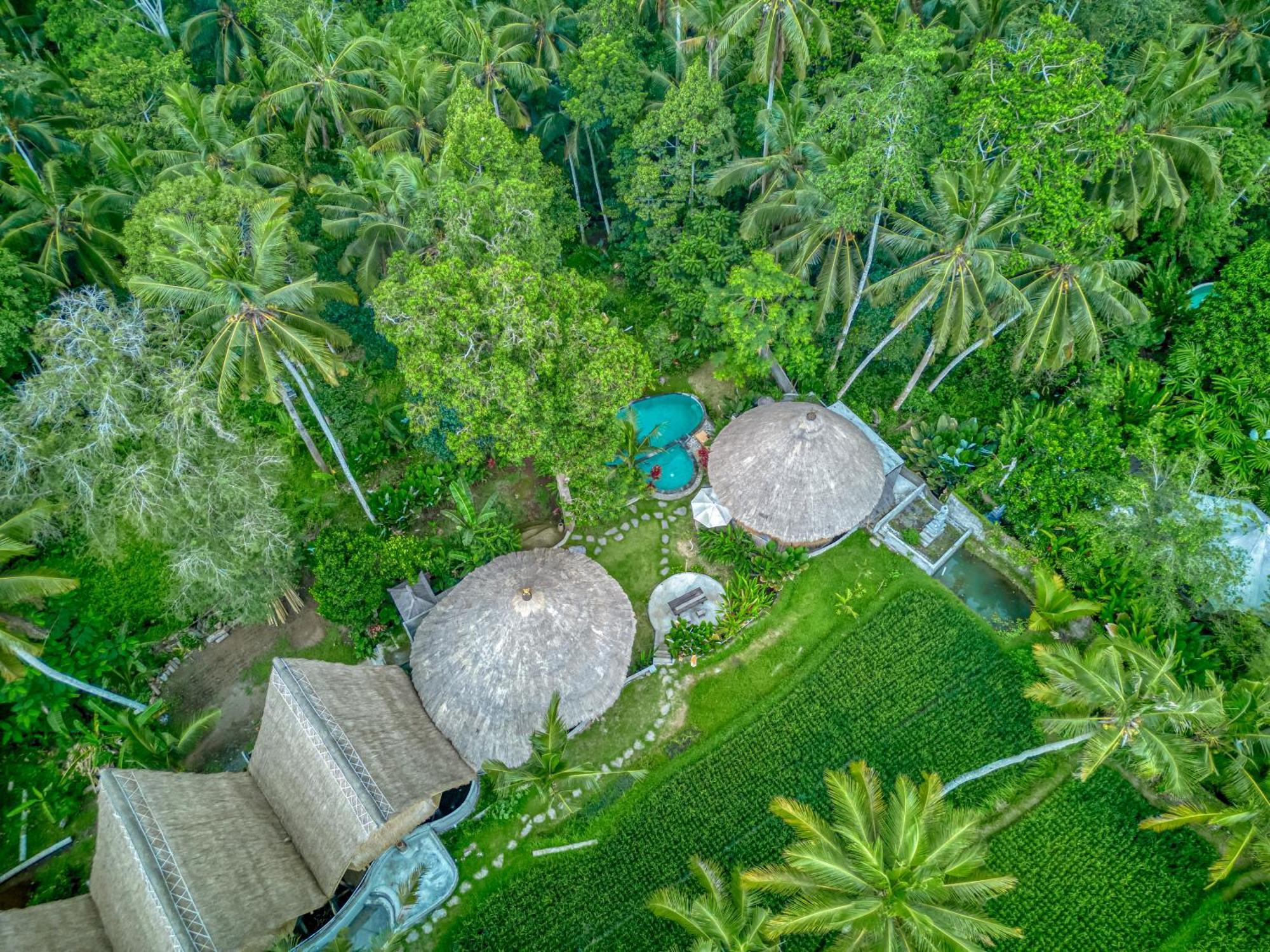 Bamboo Cabin Sanctuary By Nusantara Hospitality Ubud Exterior foto